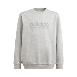Tenisové Oblečení adidas Big Logo TS Sweatshirt